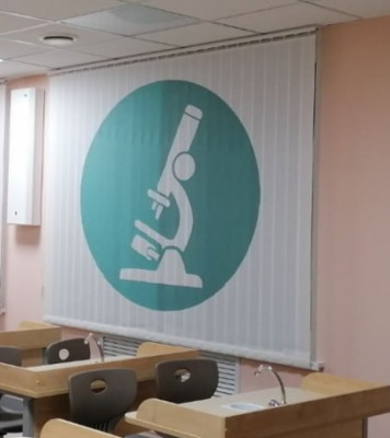 Вертикальные жалюзи ткань Лайн белый с фотопечатью_L-01