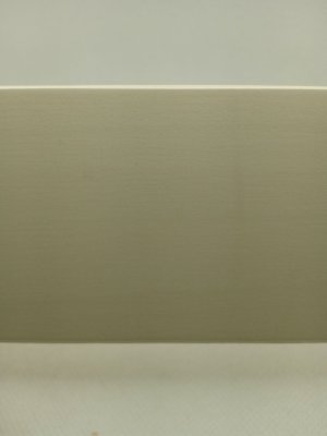 Полоса павловния магнолия 2", 150/240см, 295901-2259
